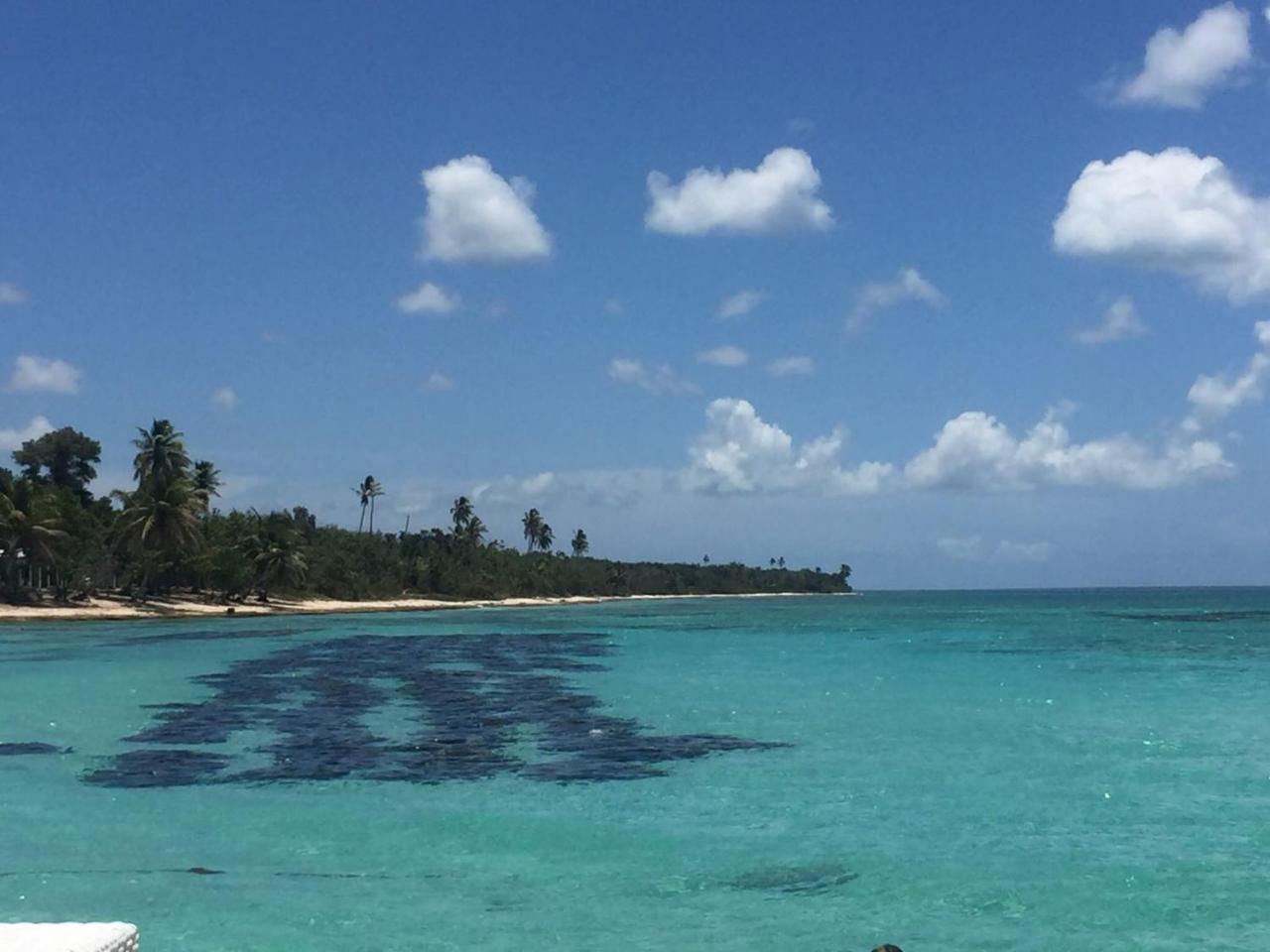 Pez 106 Lägenhet Bayahibe Exteriör bild